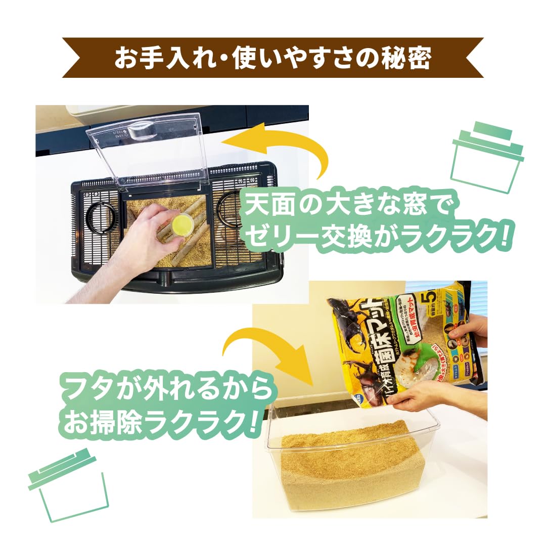 Amazon | インセクトランド プラケースワイドビュー ブラック 大